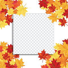 Image showing Maple leaves on transparency grid