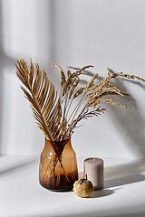 Image showing dried flowers in glass vase candle and pumpkin