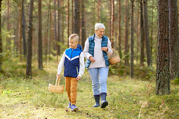 Image showing grandmother and grandson with mushrooms in forest