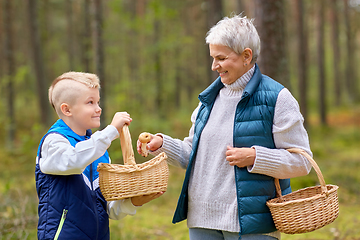 Image showing grandmother and grandson with mushrooms in forest