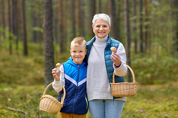 Image showing grandmother and grandson with mushrooms in forest