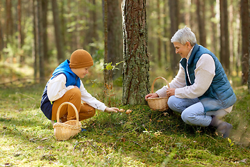 Image showing grandmother and grandson with mushrooms in forest