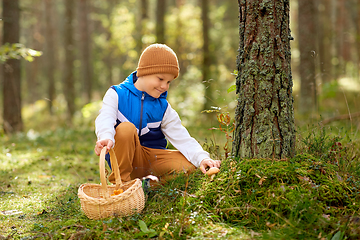 Image showing happy boy with basket picking mushrooms in forest