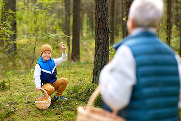 Image showing grandmother and grandson with mushrooms in forest