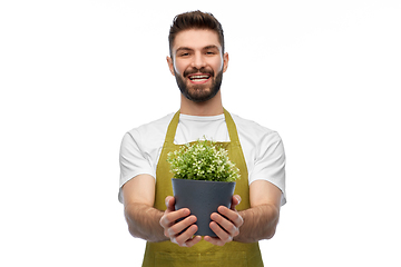 Image showing happy smiling male gardener with flower in pot