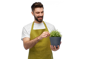 Image showing happy smiling male gardener with flower in pot