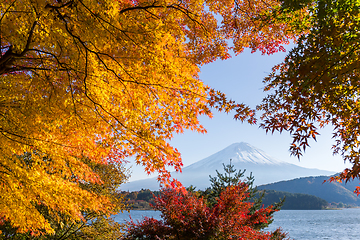 Image showing Fujisan with maple tree