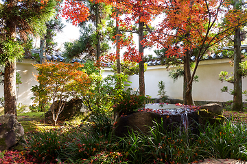 Image showing Traditional Kokoen Garden with maple tree