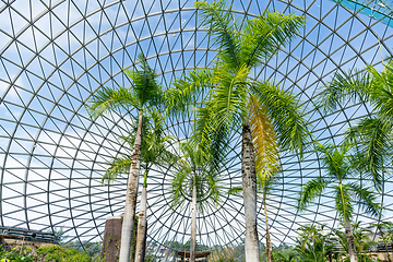 Image showing Greenhouse of garden