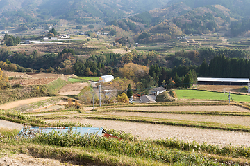 Image showing Straw rural landscape