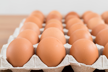 Image showing Chicken Egg in pack