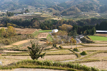 Image showing Golden wheat field