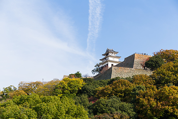 Image showing Traditional Marugame Castle