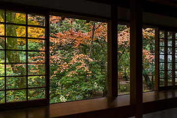 Image showing Japanese temple in autumn season