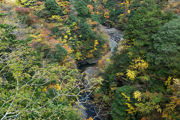 Image showing Autumn landscape