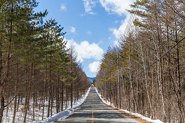 Image showing Winter road and trees covered with snow