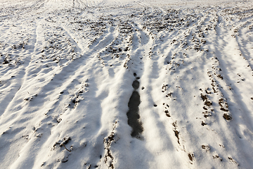 Image showing Snow drifts on the ground