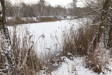 Image showing frozen small pond