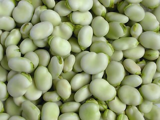 Image showing Broad beans