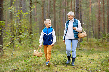 Image showing grandmother and grandson with mushrooms in forest