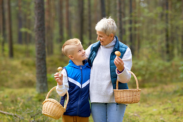 Image showing grandmother and grandson with mushrooms in forest