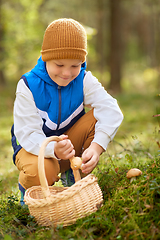 Image showing happy boy with basket picking mushrooms in forest