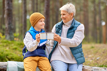 Image showing grandmother with grandson drinking tea in forest