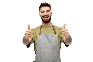 Image showing happy smiling barman in apron showing thumbs up