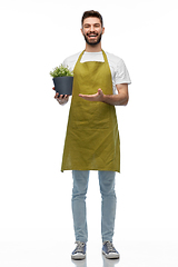 Image showing happy smiling male gardener with flower in pot