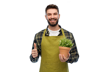 Image showing happy male gardener or farmer with flower in pot