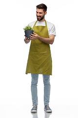 Image showing happy smiling male gardener with flower in pot