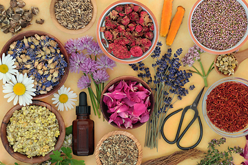 Image showing Healing Herbs and Flowers for Essential Oil