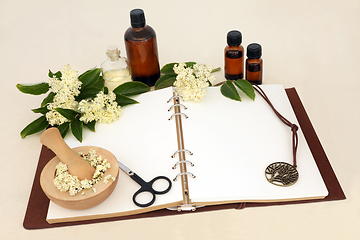 Image showing Naturopathic Elderflower Herb Used in Alternative Medicine