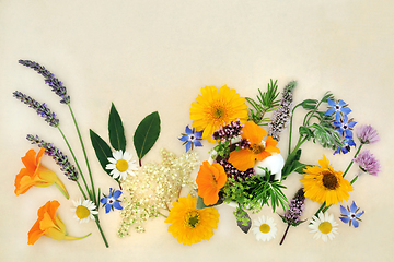 Image showing Summer Flowers and Herbs for Natural Herbal Plant Based Remedies