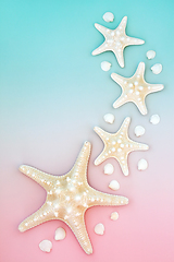 Image showing Summer Nature Background with Starfish and Cockle Shells  