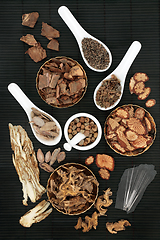 Image showing Acupuncture Treatment with Chinese Herbs and Spice 