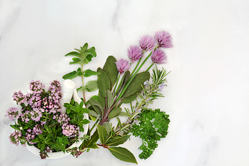 Image showing Kitchen Garden Herb Collection for Organic Food Seasoning 