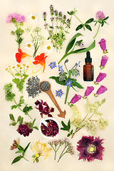 Image showing Aromatherapy Essential Oil Preparation with Flowers and Herbs  
