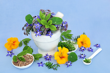 Image showing Immune System Boosting Herbs to Treat Colds and Flu  