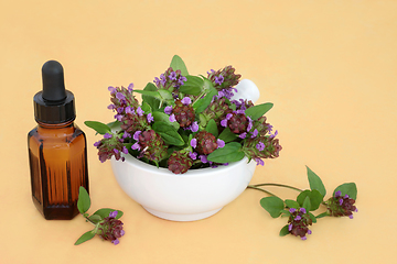 Image showing Self Heal Herb Alternative Herbal Medicine