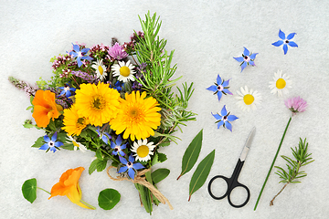 Image showing Preparing Herbs and Flowers for Alternative Plant Medicine