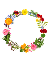Image showing Flower and Herb Wreath for Naturopathic Herbal Plant Medicine