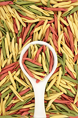 Image showing Italian Fusilli Pulgiesi Tricolour Semolina Pasta