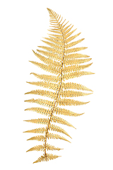 Image showing Gold Fern Leaf Design Element