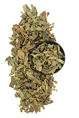 Image showing Loquat Leaf Herb Chinese Herbal Medicine