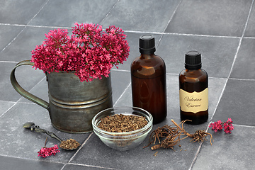 Image showing Essence of Valerian Herb Root 