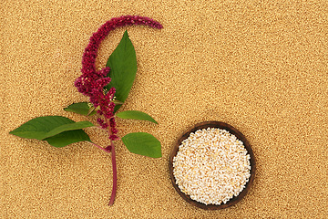 Image showing Amaranthus Plant Seed and Puffed Amaranth Grain  