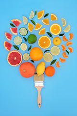 Image showing Citrus Fruit Surreal Paintbrush Composition