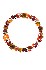 Image showing Natural Autumn Wreath of Leaves Berries and Nuts