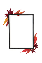Image showing Autumn Leaves Minimal Abstract Background Border